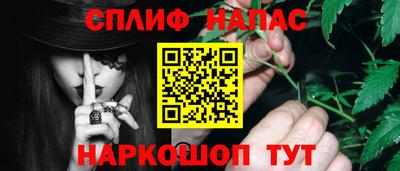 гашик Кунгур