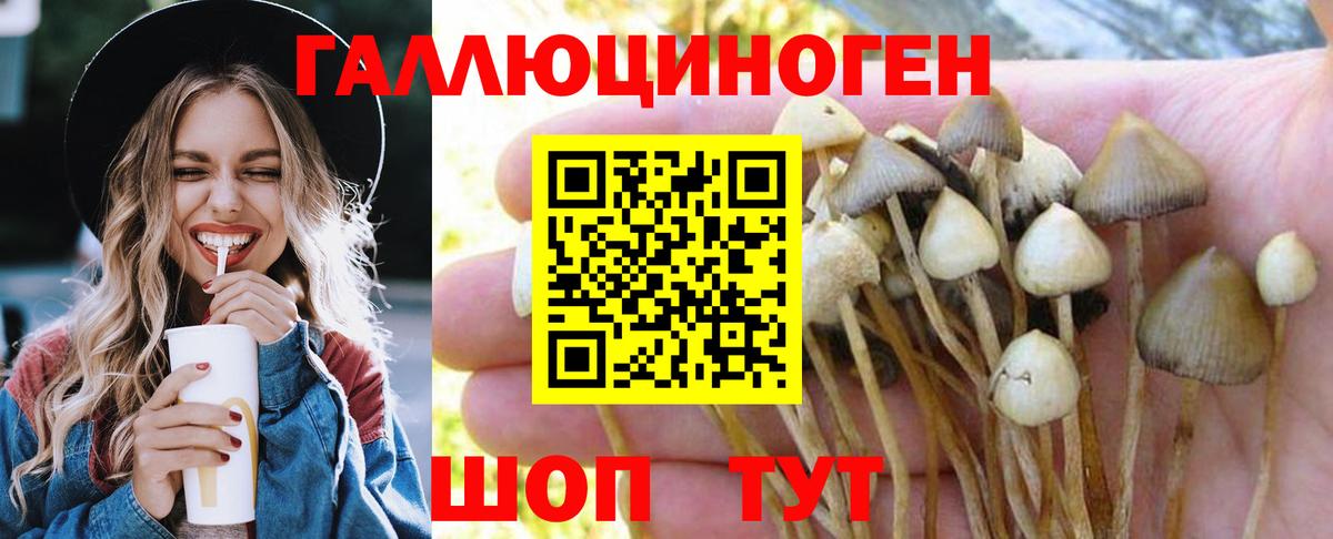 Джанкой  Псилоцибиновые грибы Psilocybe  цена   Вход с VPN 